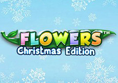 Flowers Christmas Edition