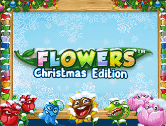 flowers-christmas-edition