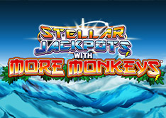 Stella jackpots with More Monkeys