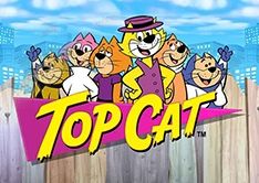 Top Cat