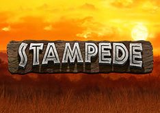 Stampede