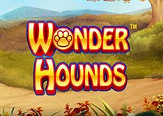 Wonder Hounds